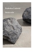 Cover Stein sein