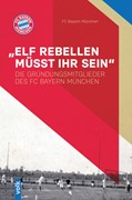 Cover 'Elf Rebellen müsst ihr sein'