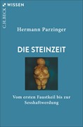 Cover Die Steinzeit