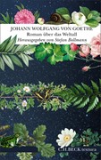 Cover Roman über das Weltall