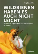 Cover Wildbienen haben es auch nicht leicht