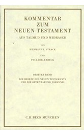 Cover: Billerbeck, Paul, Kommentar zum Neuen Testament aus Talmud und Midrasch Band 3: Die Briefe des Neuen Testaments und die Offenbarung Johannis