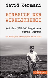 Cover: Kermani, Navid, Einbruch der Wirklichkeit