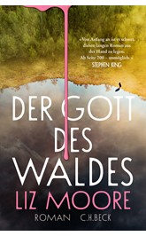 Cover: Moore, Liz, Der Gott des Waldes