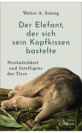 Cover: Sontag, Walter A., Der Elefant, der sich sein Kopfkissen bastelte