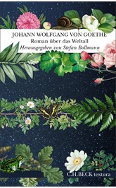 Cover: Goethe, Johann Wolfgang von, Roman über das Weltall