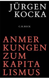 Cover: Kocka, Jürgen, Anmerkungen zum Kapitalismus