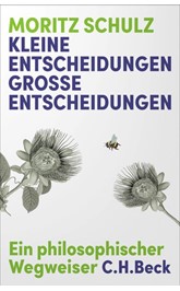 Cover: Schulz, Moritz, Kleine Entscheidungen, große Entscheidungen