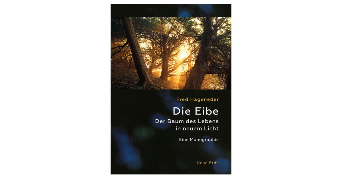 glanzmispel red robin stecklinge Glanzmispel 'Red Robin' kaufen – rote Hecke