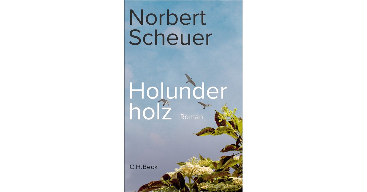 Holunderholz | Scheuer, Norbert | Hardcover