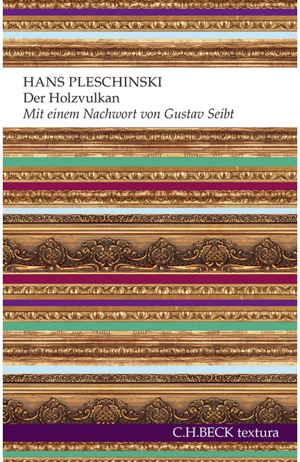 Cover: Hans Pleschinski, Der Holzvulkan