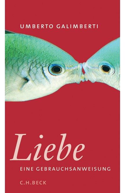 Cover: Umberto Galimberti, Liebe. Eine Gebrauchsanweisung