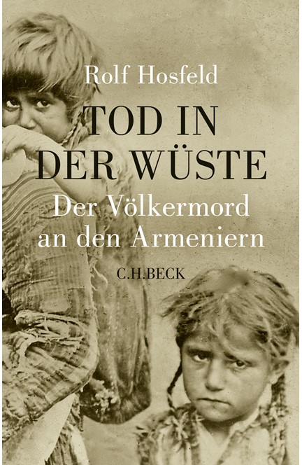 Cover: Rolf Hosfeld, Tod in der Wüste