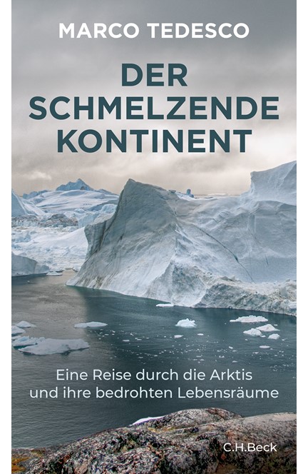 Cover: Marco Tedesco, Der schmelzende Kontinent