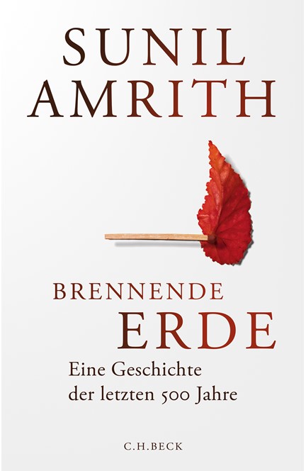 Cover: Sunil Amrith, Brennende Erde