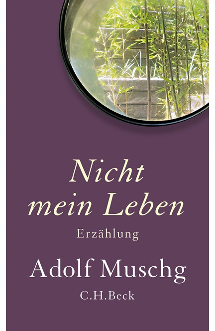 Cover: Adolf Muschg, Nicht mein Leben