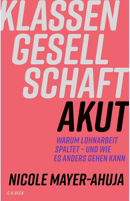 Cover: Nicole Mayer-Ahuja, Klassengesellschaft akut