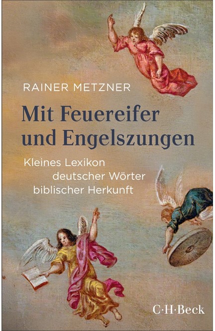 Cover: Rainer Metzner, Mit Feuereifer und Engelszungen