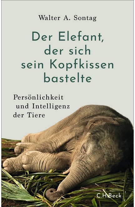 Cover: Walter A. Sontag, Der Elefant, der sich sein Kopfkissen bastelte