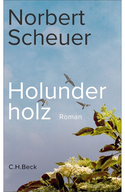 Cover: Norbert Scheuer, Holunderholz