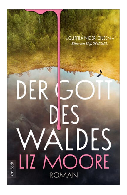 Cover: Liz Moore, Der Gott des Waldes