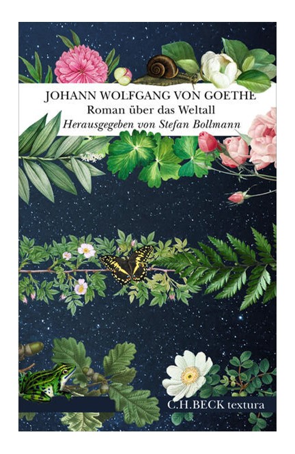 Cover: Johann Wolfgang von Goethe, Roman über das Weltall