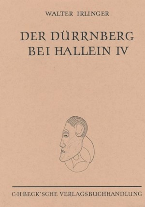 Cover: Walter Irlinger, Die Siedlung auf dem Ramsaukopf