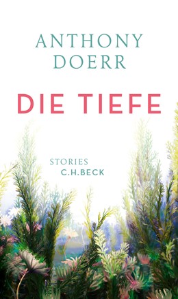 Cover: Doerr, Anthony, Die Tiefe