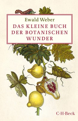 Cover: Weber, Ewald, Das kleine Buch der botanischen Wunder