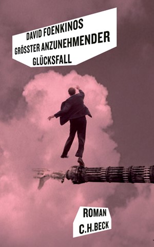 Cover: David Foenkinos, Größter anzunehmender Glücksfall