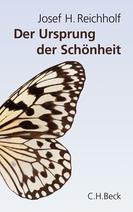Cover: Reichholf, Der Ursprung der Schönheit