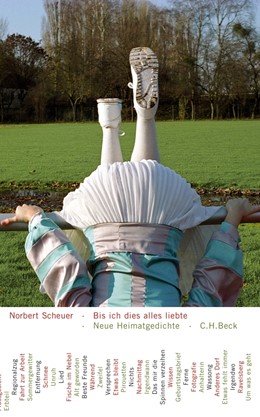 Cover: Scheuer, Bis ich dies alles liebte