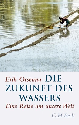 Cover: Orsenna, Die Zukunft des Wassers