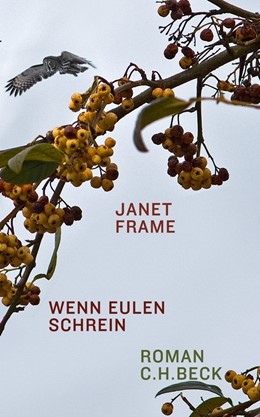 Cover: Frame, Wenn Eulen schrein