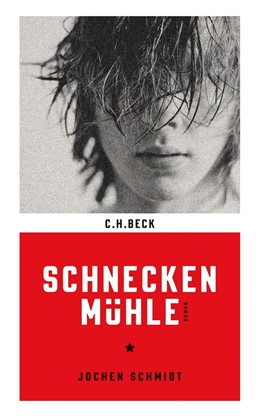 Cover: Schmidt, Schneckenmühle