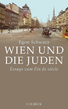 Cover: Schwarz, Wien und die Juden
