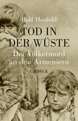 Cover: Hosfeld, Tod in der Wüste