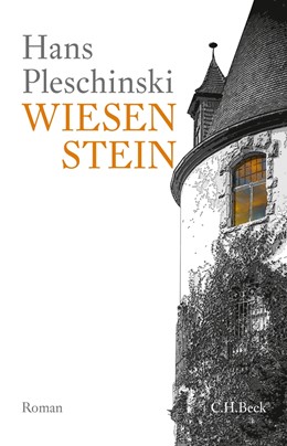 Cover: Pleschinski, Wiesenstein
