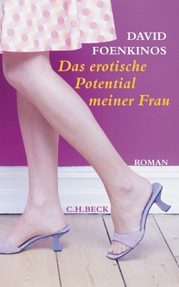 Cover: Foenkinos, Das erotische Potential meiner Frau