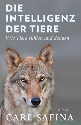 Cover: Safina, Die Intelligenz der Tiere