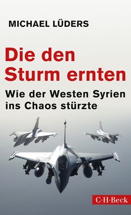 Cover: Lüders, Die den Sturm ernten