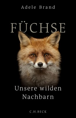 Cover: Brand, Füchse