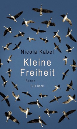 Cover: Kabel, Kleine Freiheit