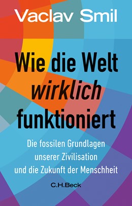 Cover: Smil, Vaclav, Wie die Welt wirklich funktioniert