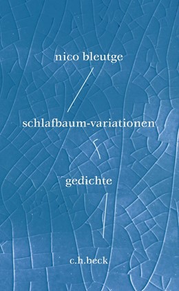 Cover: Bleutge, schlafbaum-variationen