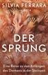 Cover: Ferrara, Der Sprung