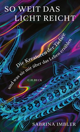 Cover: Imbler, So weit das Licht reicht