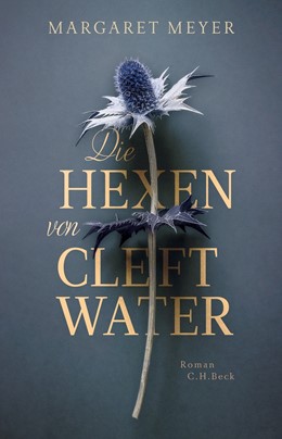 Cover: Meyer, Die Hexen von Cleftwater