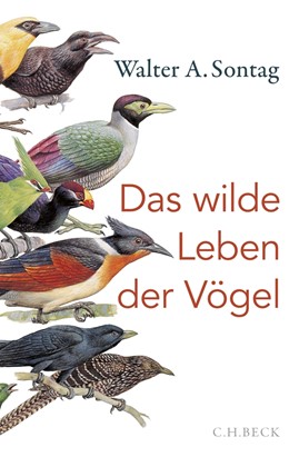 Cover: Sontag, Das wilde Leben der Vögel