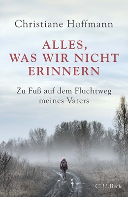 Cover: Hoffmann, Alles, was wir nicht erinnern
